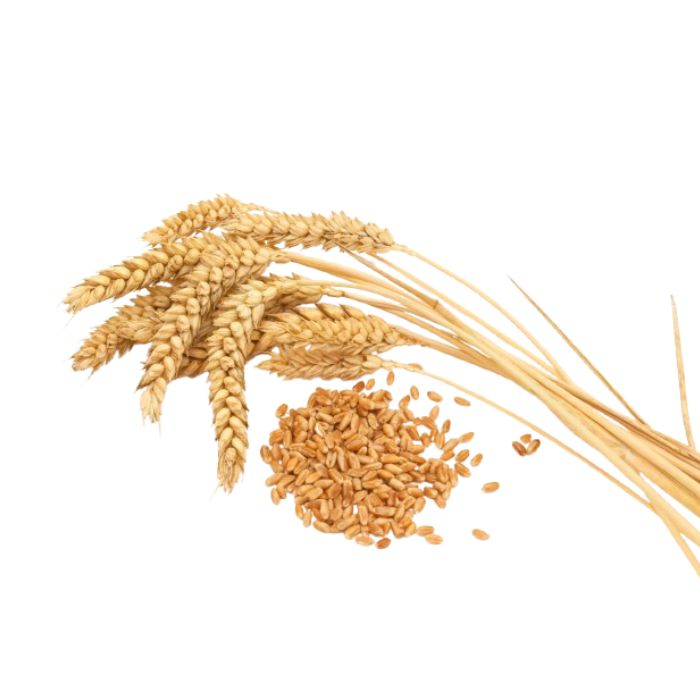 Premium Grains - Image 2